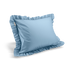 Full SIze Cotton Ruffled Pillowcase, Butterfly Blue