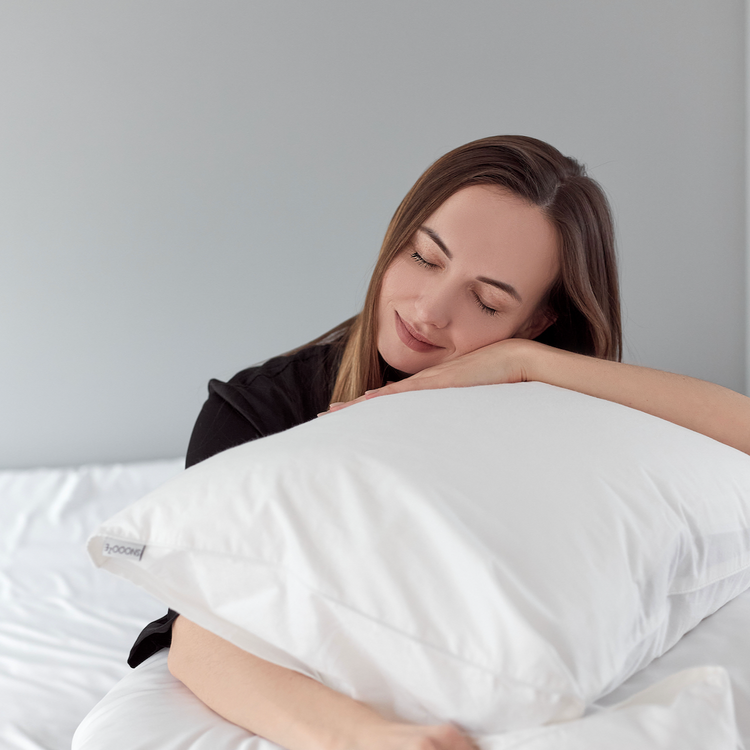 CloudSoft Full Size Snoooze Portable Pillow Media