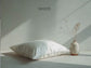 All Silk Travel Mini Pillow